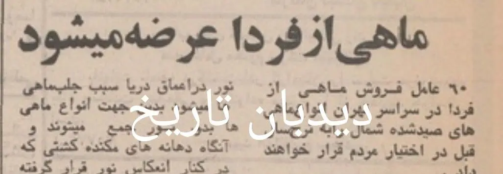 IMG_20251205_101447_904