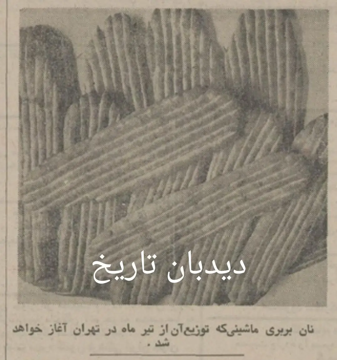 IMG_20260205_095202_030