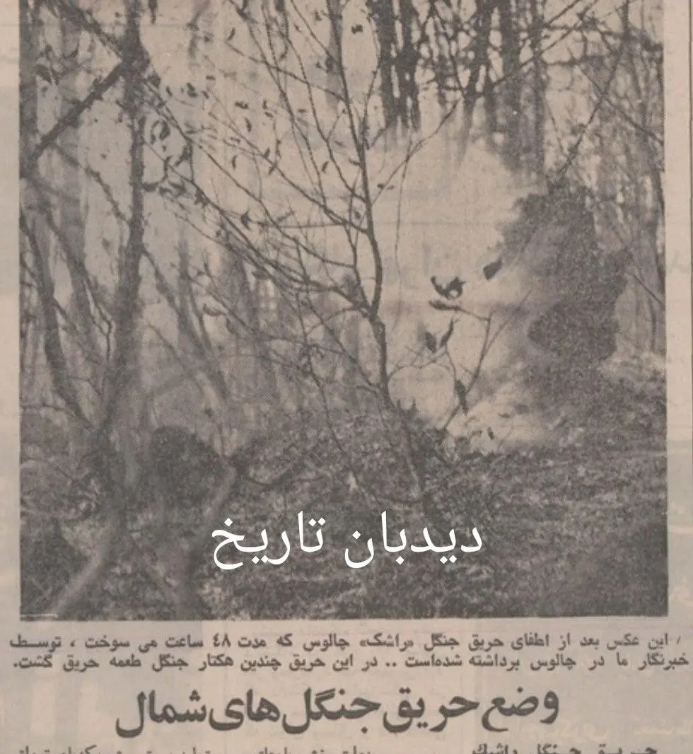 IMG_20251125_082310_945