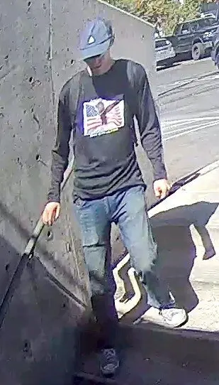 63581817