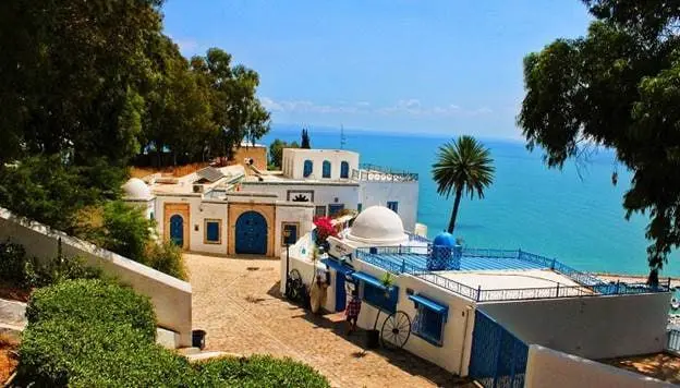 IMG_20251112_142135_037