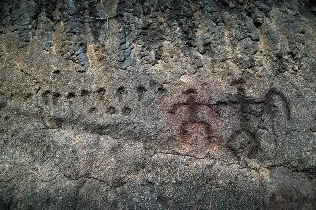 63573044
