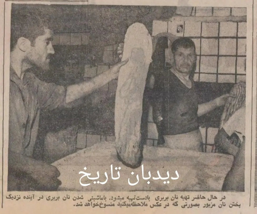 photo_2025-11-22_17-17-59