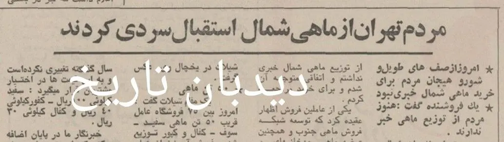 photo_2025-12-09_17-39-49