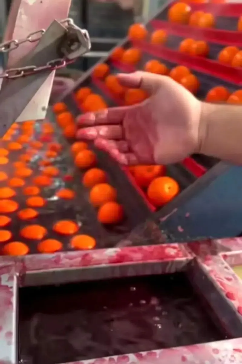 IMG_20251124_160657_457