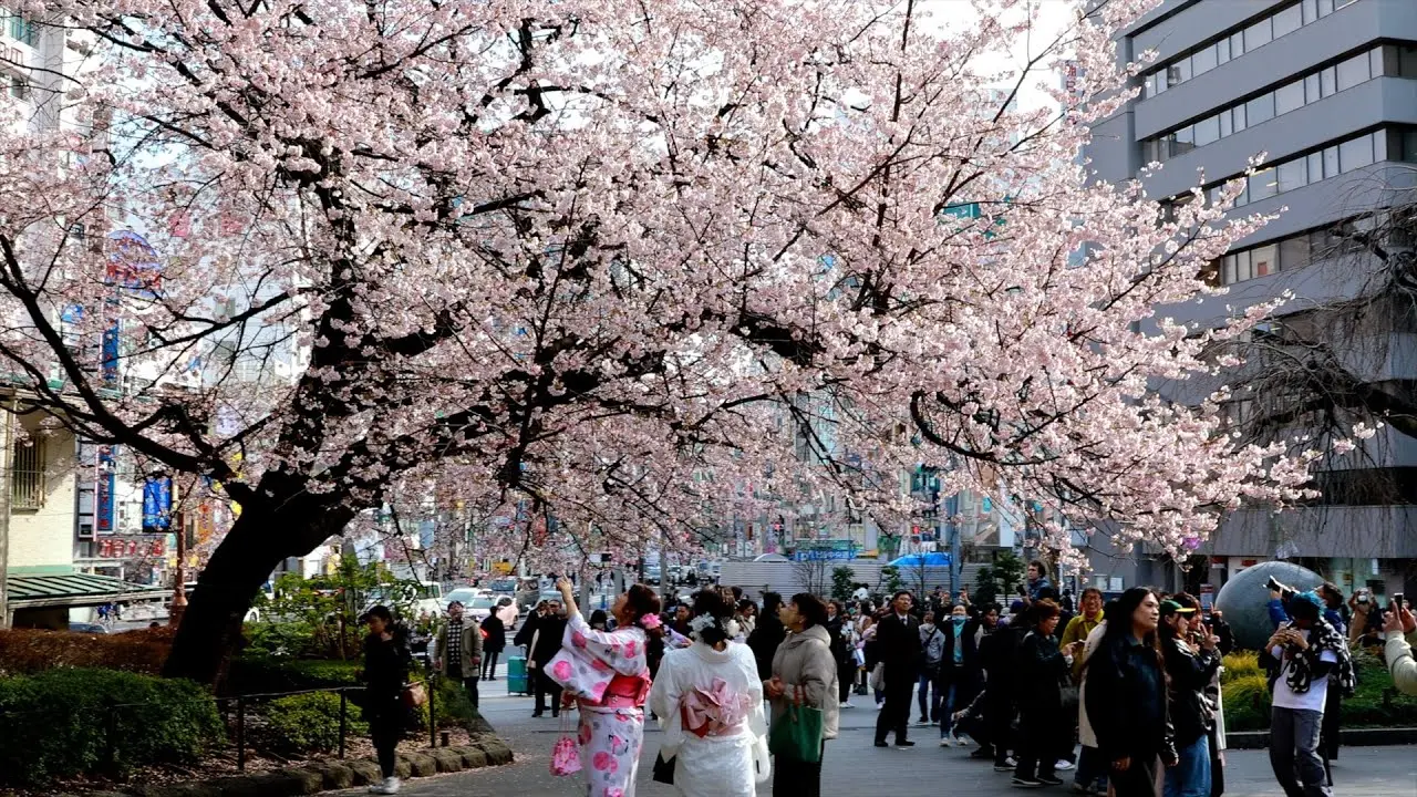 bQR1XnhckLGmw75pTjUivcbtbVseB48omQVMGSrz