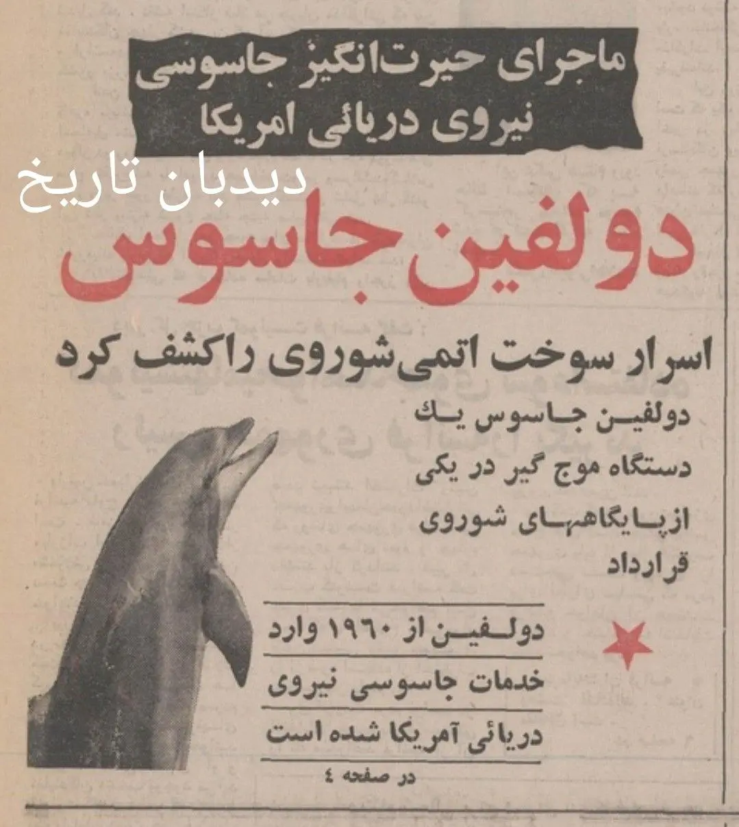 IMG_20260219_084332_671