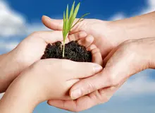 سلطان بیمه شخص ثالث هنوز بدهی دارد