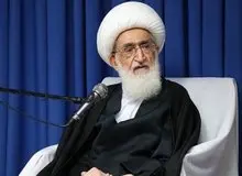 آیت‌الله نوری همدانی: سازمان‌های بین‌المللی جهان اسلام اهانت‌های نشریه فرانسوی را پیگیری کنند