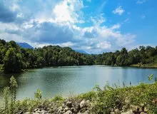 منابع طبیعی قطع ۳۰ درخت در الیمالات را تایید کرد