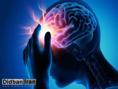 یک متخصص مغز و اعصاب: جوانان ایرانی ۷ برابر میانگین جهانی در معرض سکته مغزی‌اند
