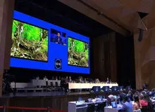 جنگل‌های هیرکانی ثبت جهانی شد