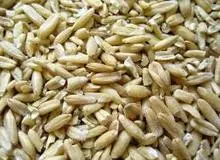 جو دو سر، دشمن افسردگی!