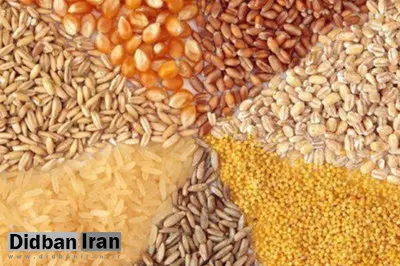 سقف جدید نرخ ارز نهاده‌های دام و طیور اعلام شد