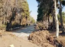 ساخت و ساز در پادگان ۰۶ همراه با قطع درختان/ قلع و قمع درختان و عملیات ساختمانی غیرقانونی از ابتدای سال۱۴۰۳ در شمال تهران/ افزایش سهم ارتش در ساخت و سازها