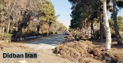 ساخت و ساز در پادگان ۰۶ همراه با قطع درختان/ قلع و قمع درختان و عملیات ساختمانی غیرقانونی از ابتدای سال۱۴۰۳ در شمال تهران/ افزایش سهم ارتش در ساخت و سازها