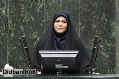 خدادادی: کمک بانک گردشگری در انرژیهای تجدیدپذیر، فرصت طلایی برای اقتصاد و عبور از خاموشیهاست