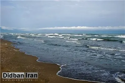 نماینده مجلس: ۸۰ درصد سواحل شمالی تصرف شده؛ ۲۰ درصد در اختیار مردم، ۶۰ درصد دیگر در اختیار ارگان‌های دولتی، قوه قضائیه و نهادهای حاکمیتی است