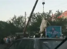 برای تبلیغ یک کاندیدا «یک گاو» را از جرثقیل آویزان کردند / فیلـــم
