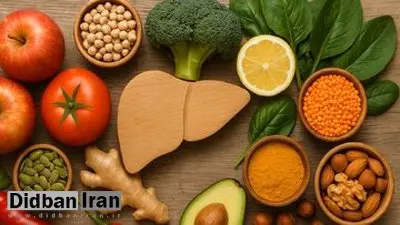 میوه‌هایی که به راحتی کبد را چرب می‌کنند/ آیا واقعا لیموترش قند بالایی دارد؟/ مراقب میوه‌های پرپتاسیم باشید