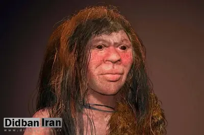 انسان‌تباران دنیسووا با گروهی مرموز از انسان‌های باستانی آمیزش داشتند