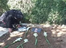 نخستین تصویر از مزار محمدرضا شجریان