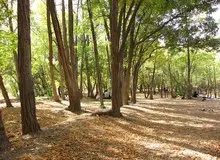 ورود گردشگران به مناطق حفاظت‌ شده و پارک‌های ملی استان تهران تا اطلاع ثانوی ممنوع شد