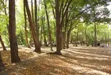 ورود گردشگران به مناطق حفاظت‌ شده و پارک‌های ملی استان تهران تا اطلاع ثانوی ممنوع شد