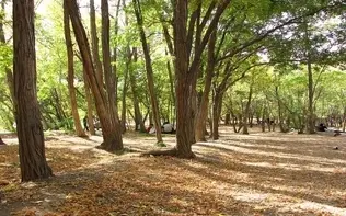 ورود گردشگران به مناطق حفاظت‌ شده و پارک‌های ملی استان تهران تا اطلاع ثانوی ممنوع شد