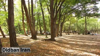 ورود گردشگران به مناطق حفاظت شده و پارکهای ملی استان تهران تا اطلاع ثانوی ممنوع شد