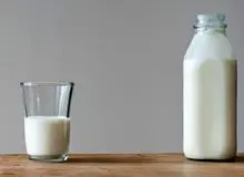 شیر تاریخ گذشته را دور نریزید!