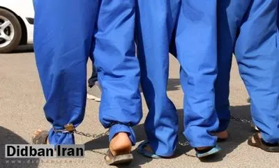 شناسایی و انهدام کارگاه تولید غیرمجاز قرصهای متادون وترامادول؛ یک نفر بازداشت شد