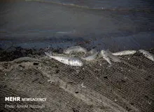 دست‌های خالی دریا در مقابل صیادان+ تصاویر