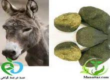 عنبر نسارا چیست و چه کاربردی دارد؟
