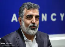 کمالوندی: در یکسال۳بار خرابکاری در سایتهای هسته ای رخ داد/ سایت کرج درکنترل نهاد امنیتی بوده و اجازه نصب دوربین نداریم