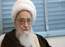 آیت‌الله صافی گلپایگانی: از مجلس می‌خواهم که لغو این طرح را اعلام کند

