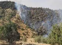 ۸۰ درصد آتش‌سوزی جنگل‌های هیرکانی مهار شد/ پایان عملیات تا غروب امروز