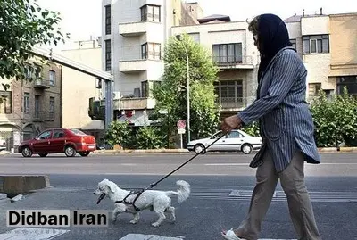 رپرتاژ های عجیب خبرگزاری های انقلابی در مذمت سگ/ موی دخترم از وحشت یک سگ ریخت!