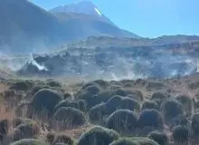 مهار آتش‌سوزی ۶۵ هکتاری پای قله دماوند