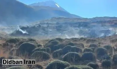 مهار آتشسوزی ۶۵ هکتاری پای قله دماوند