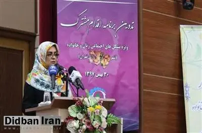 نشست های تخصصی تشکل های اجتماعی زنان با جدیت دنبال می شود
