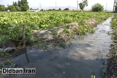 سهم ۹۰ درصدی بخش کشاورزی از مصرف آب کشور دقیق نیست