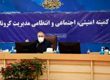 ذوالفقاری: فرد ناقل کرونا دارای مسئولیت کیفری است