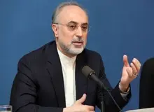 صالحی:  مشکلات معیشتی و بیکاری لحظه‌ای حل نمی‌شود/ باید به دوران فرهیختگی برسیم