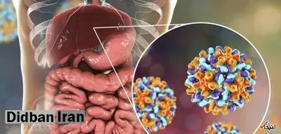 تفاوت هپاتیت B و یرقان چیست؟