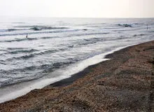 هشدار رئیس سازمان محیط زیست درباره کاهش تراز آب دریای خزر: کشور‌های همسایه ورودی رود ولگا را بسته‌اند