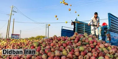 موسسه‌ی تحقیقات آب: امسال، برای تولیدِ یک میلیون تن سیب در آذربایجان غربی، معادل یک‌سوم حجم فعلی دریاچه ارومیه آب مصرف شده است