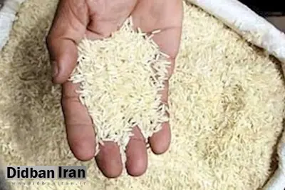 کمبود برنج قویا تکذیب می‌شود