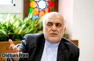 مدیرکل شورای عالی امور ایرانیان خارج از کشور: شمار ایرانیان خارج دارای مسئله امنیتی زیر ۱۰ نفر است