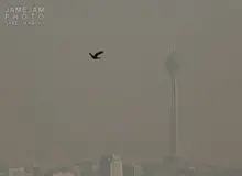 سهم ۴۹درصدی خودروهای شخصی و وانت در آلودگی هوای تهران